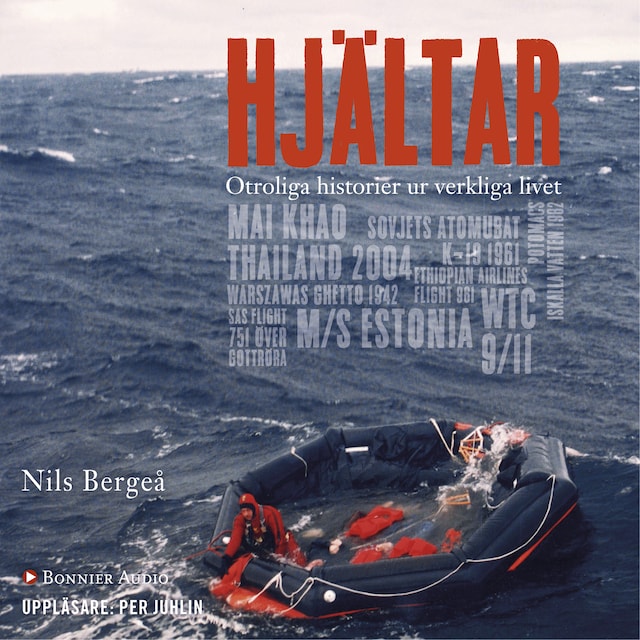 Book cover for Hjältar : otroliga historier från verkliga livet