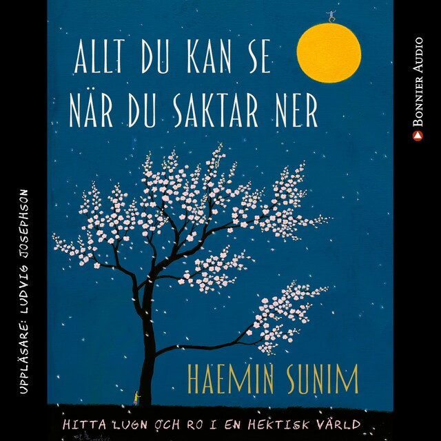 Book cover for Allt du kan se när du saktar ner : hitta lugn och ro i en hektisk värld