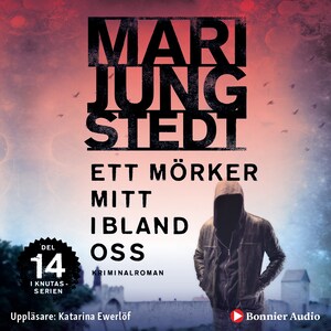 Ett mörker mitt ibland oss bookCoverFor