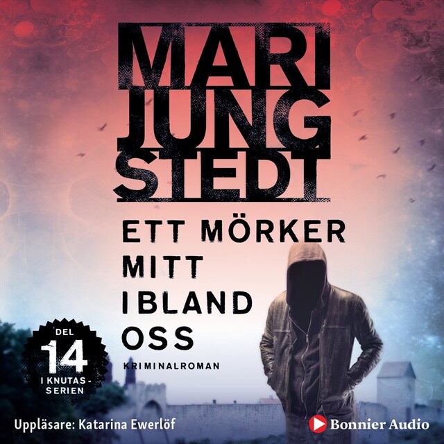 Couverture de livre pour Ett mörker mitt ibland oss