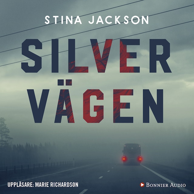 Book cover for Silvervägen