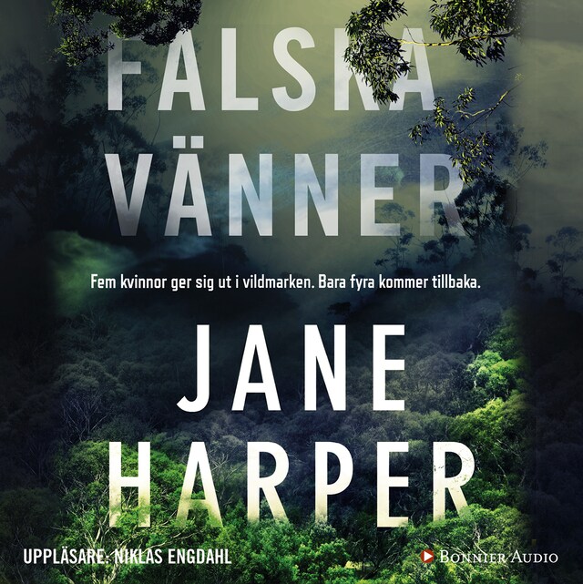 Book cover for Falska vänner