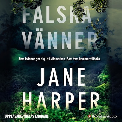 Falska vänner