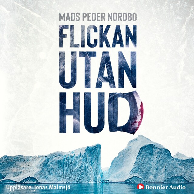 Book cover for Flickan utan hud