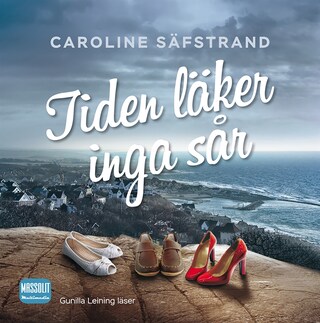 Tiden läker inga sår bookCoverFor
