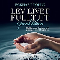 Lev livet fullt ut i praktiken : meditationer, övningar och principer för ett frigjort liv