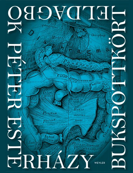 Bukspottkörteldagbok bookCoverFor