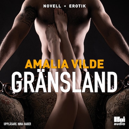 Gränsland bookCoverFor