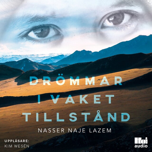 Book cover for Drömmar i vaket tillstånd