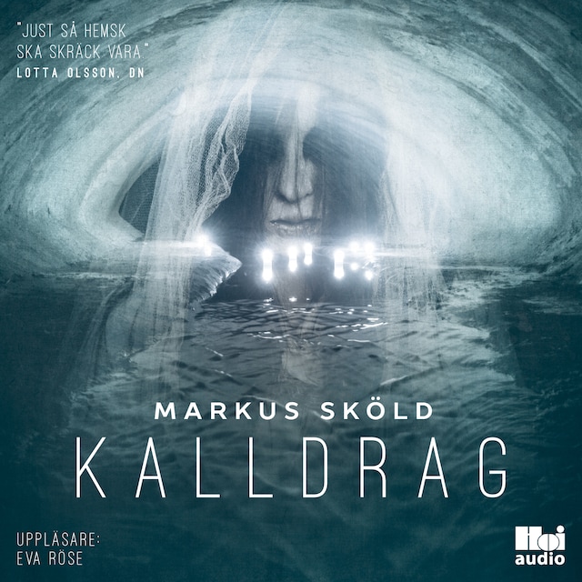 Book cover for Kalldrag
