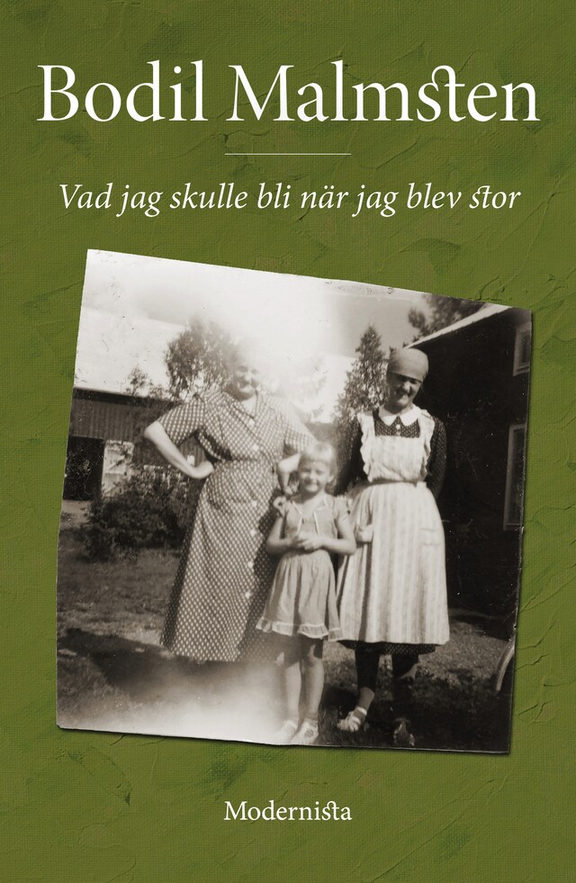 Couverture de livre pour Vad jag skulle bli när jag blev stor