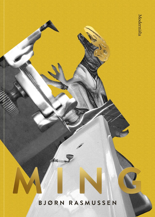 Book cover for Ming