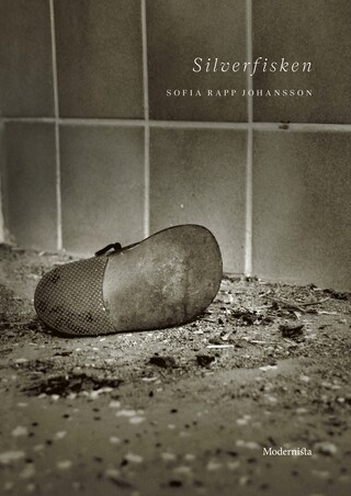 Silverfisken bookCoverFor