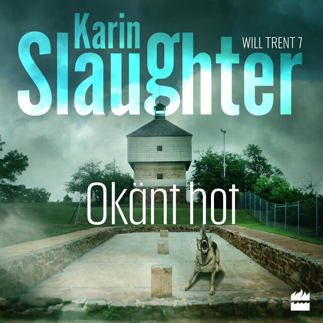 Book cover for Okänt hot