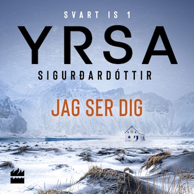 Jag ser dig
