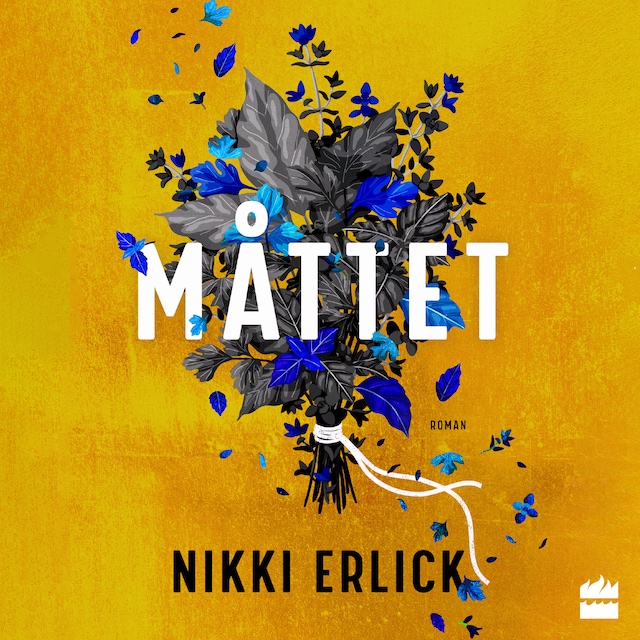 Book cover for Måttet