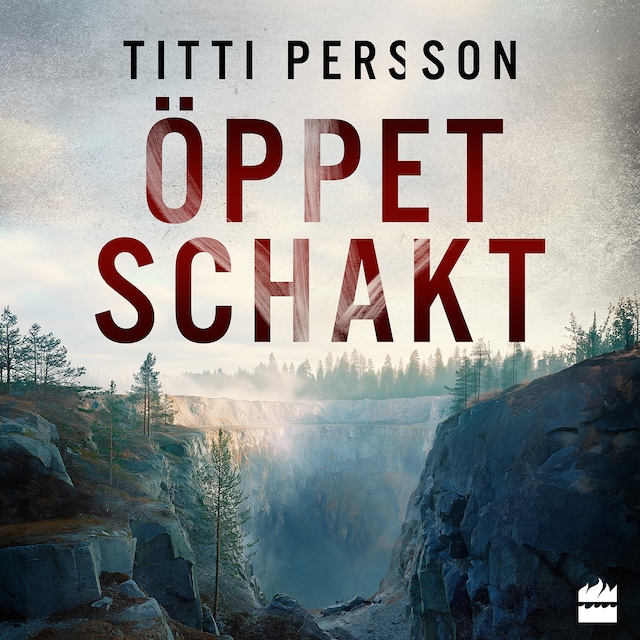 Book cover for Öppet schakt