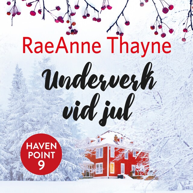 Book cover for Underverk vid jul