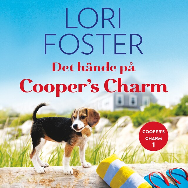 Bogomslag for Det hände på Cooper’s Charm