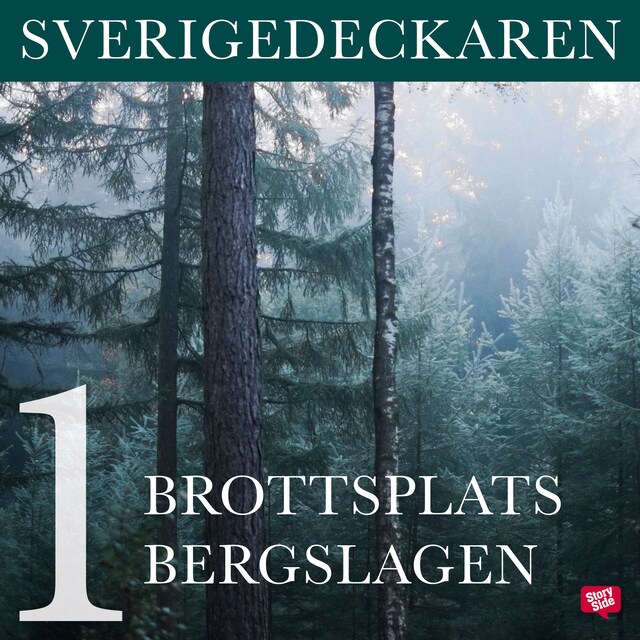 Book cover for Brottsplats Bergslagen