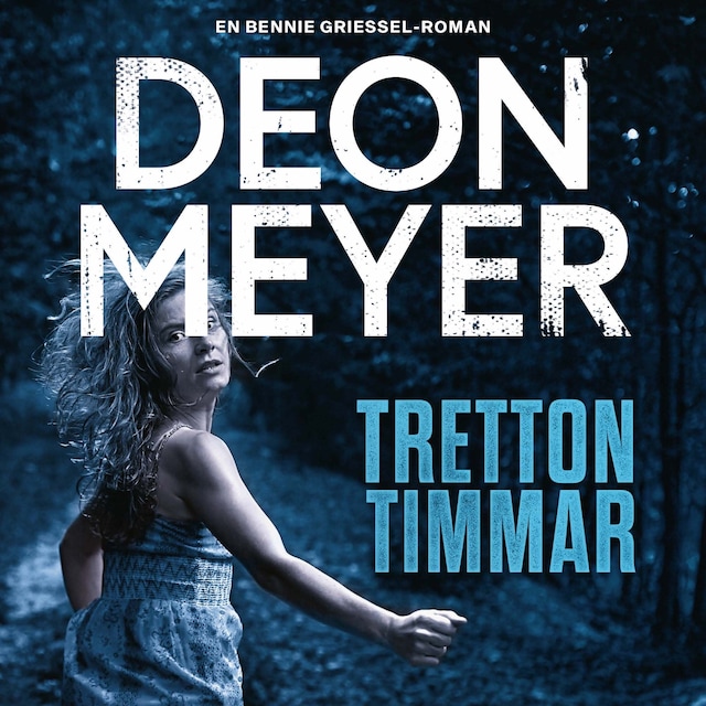 Book cover for Tretton timmar