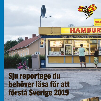 Sju reportage du behöver läsa för att förstå Sverige 2019 bookCoverFor