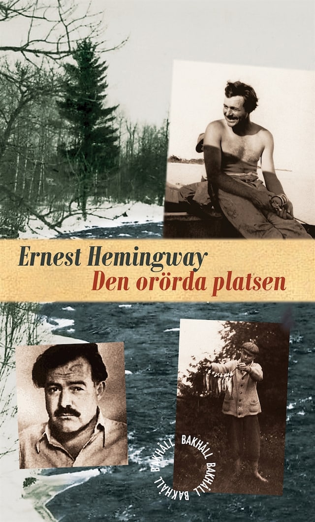 Book cover for Den orörda platsen