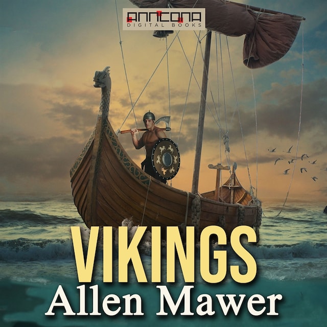 Buchcover für Vikings