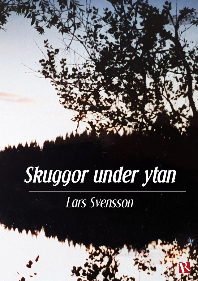 Book cover for Skuggor under ytan