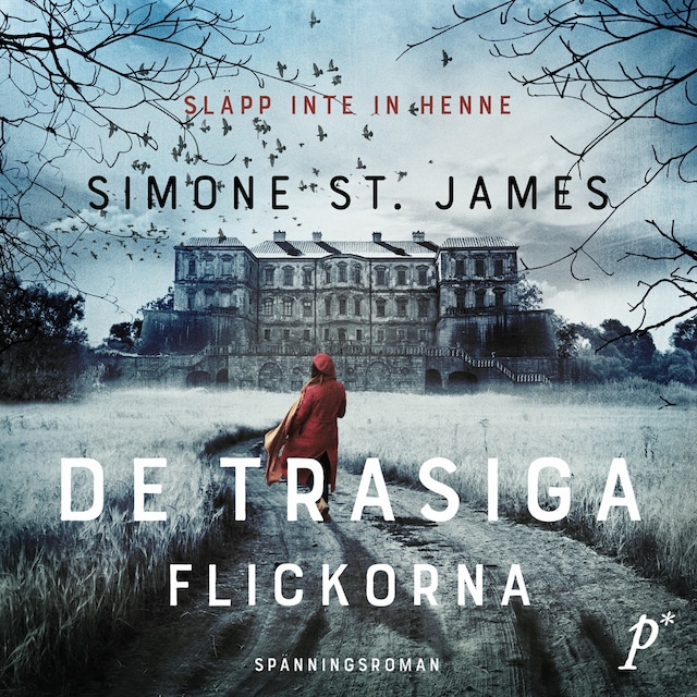 Book cover for De trasiga flickorna