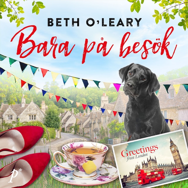 Copertina del libro per Bara på besök