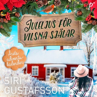 Juleljus för vilsna själar bookCoverFor