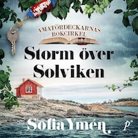 Storm över Solviken