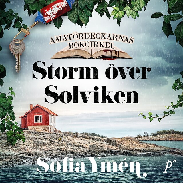 Book cover for Storm över Solviken