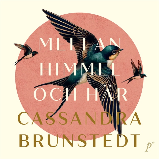 Book cover for Mellan himmel och här