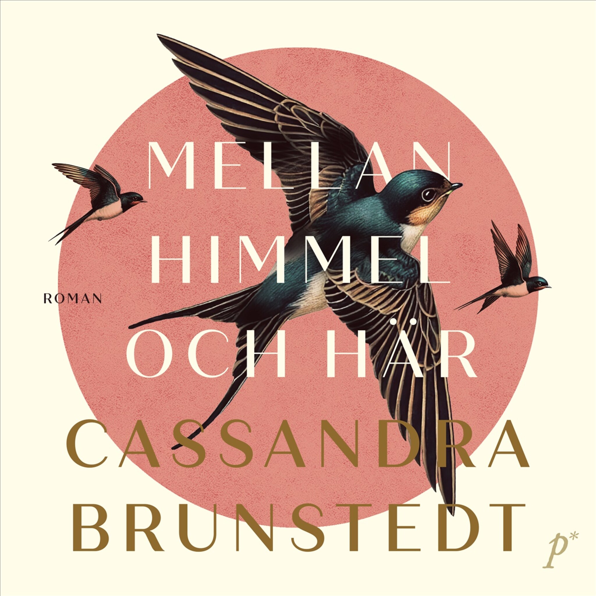 Mellan himmel och här