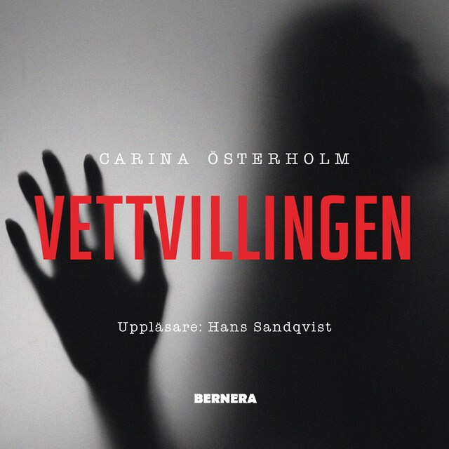 Bokomslag för Vettvillingen