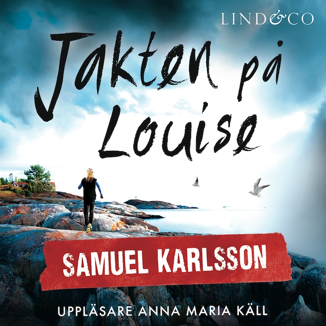 Book cover for Jakten på Louise