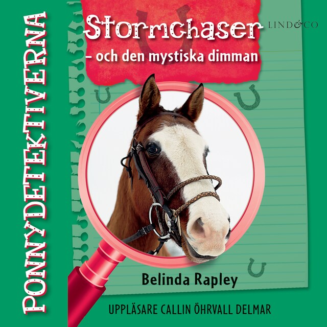Okładka książki dla Ponnydetektiverna. Stormchaser - och den mystiska dimman