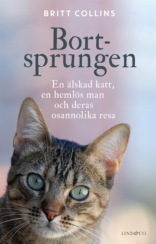 Buchcover für Bortsprungen: En älskad katt, en hemlös man och deras osannolika resa