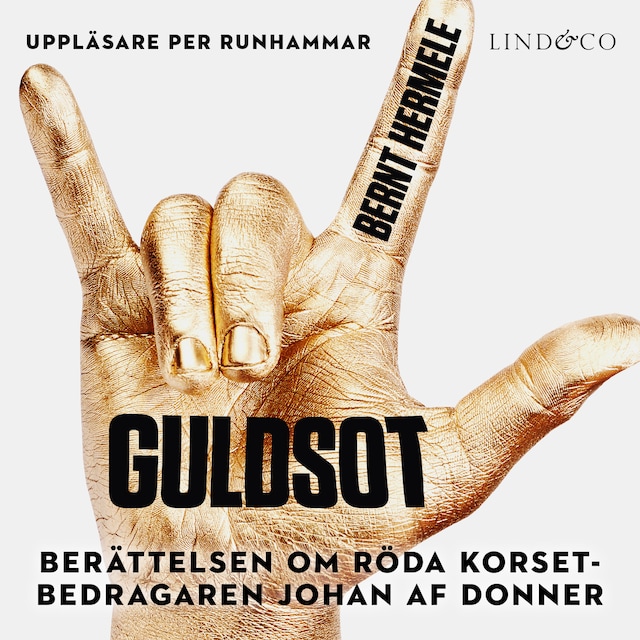 Book cover for Guldsot