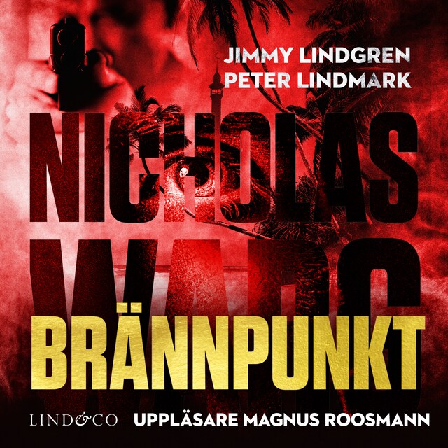 Book cover for Brännpunkt