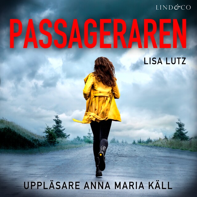 Book cover for Passageraren