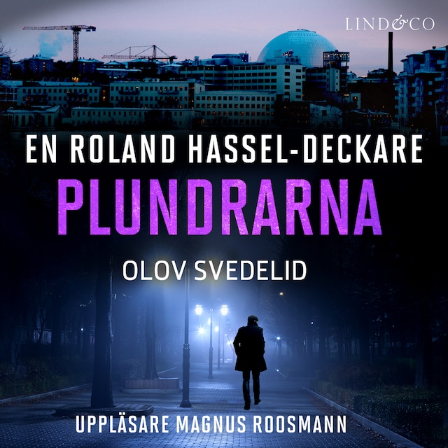 Book cover for Plundrarna