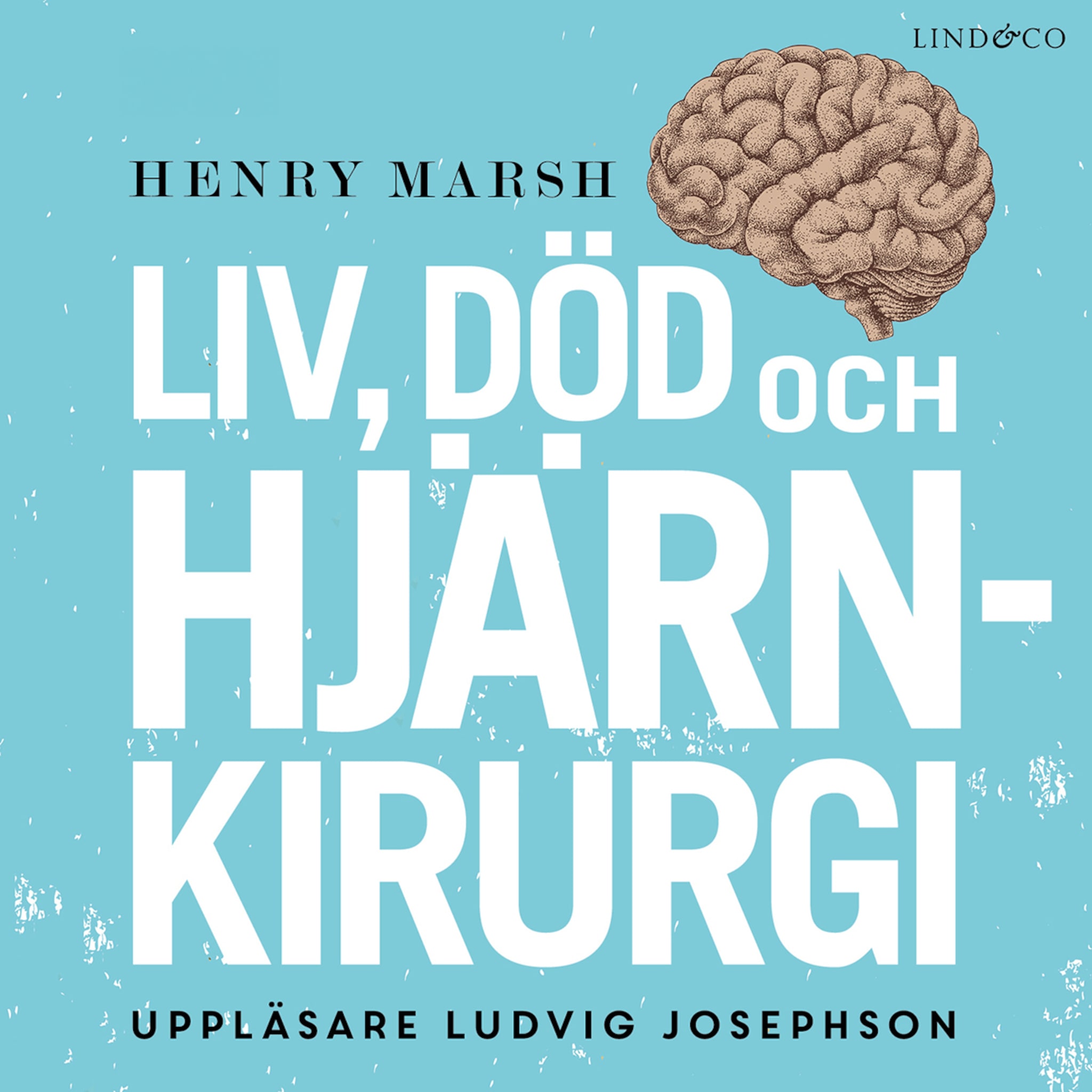 Liv, död och hjärnkirurgi