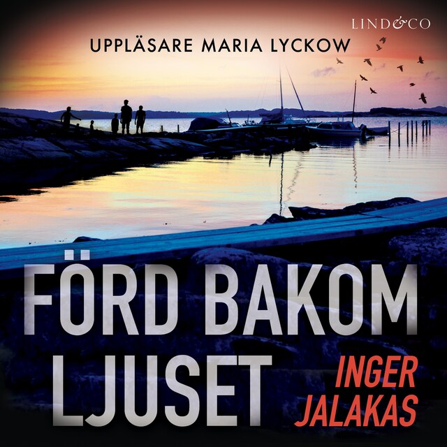 Book cover for Förd bakom ljuset