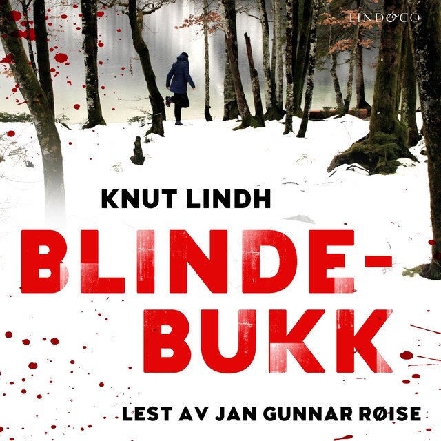 Buchcover für Blindebukk