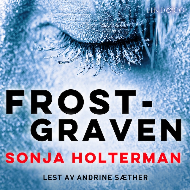Book cover for Frostgraven