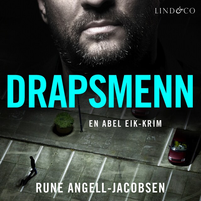 Copertina del libro per Drapsmenn