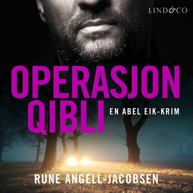 Copertina del libro per Operasjon Qibli